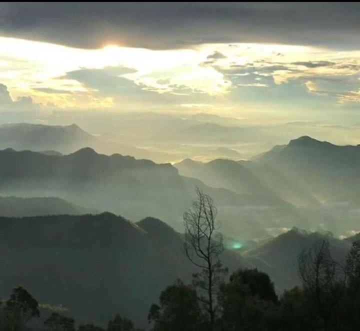 Praveen'S Wood House Kodaikanal Vattakanal Buitenkant foto