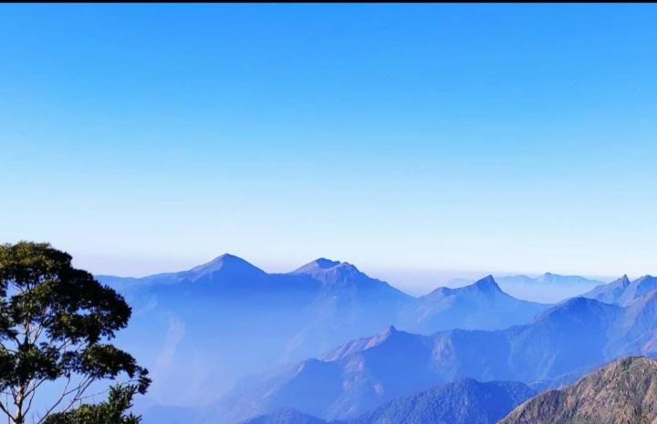 Praveen'S Wood House Kodaikanal Vattakanal Buitenkant foto